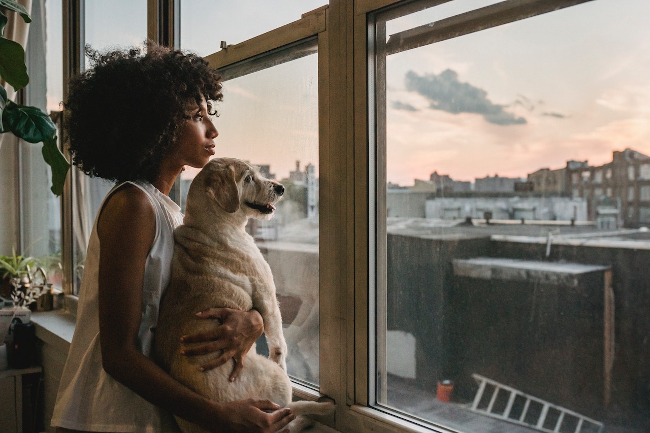 A woman holding a small white dog looking out the window