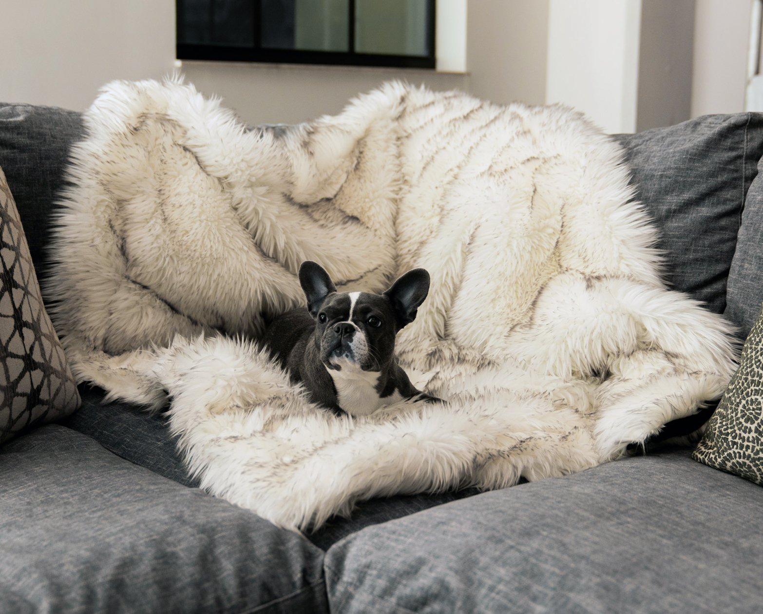 Blankets.jpg?v=1645722871