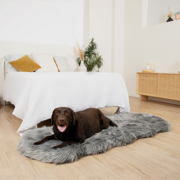 PupRug by Memory Foam Dog Bed Runner