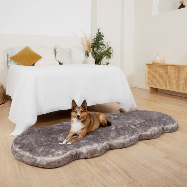 PupRug by Memory Foam Dog Bed Runner
