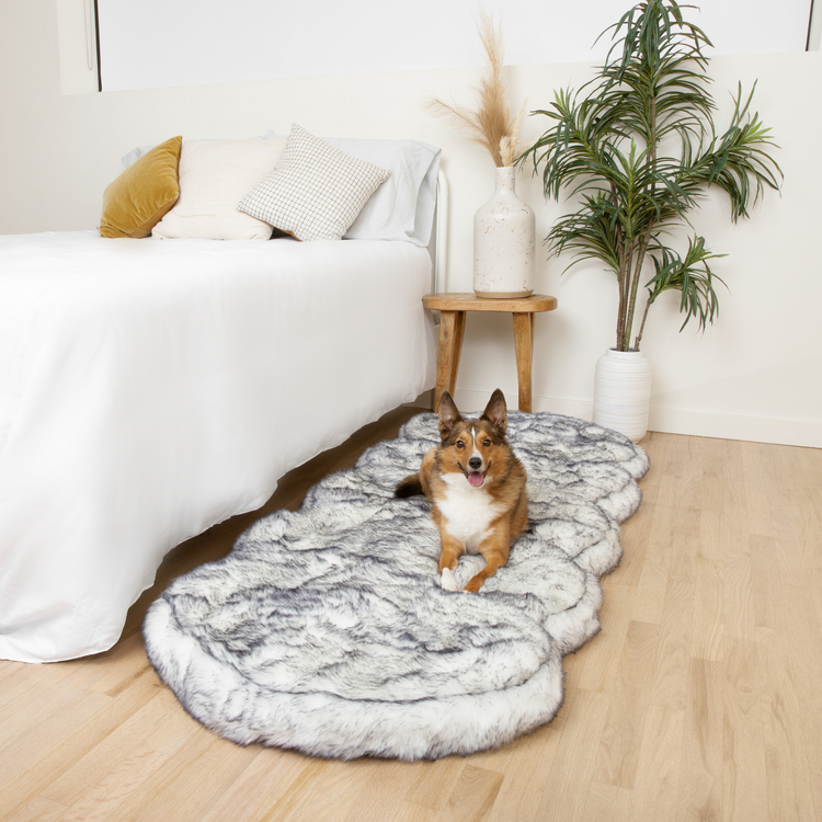 PupRug® Luxe Orthopedic Runner Bed + Matching Waterproof Blanket Bundle - Ultra Plush Arctic Fox