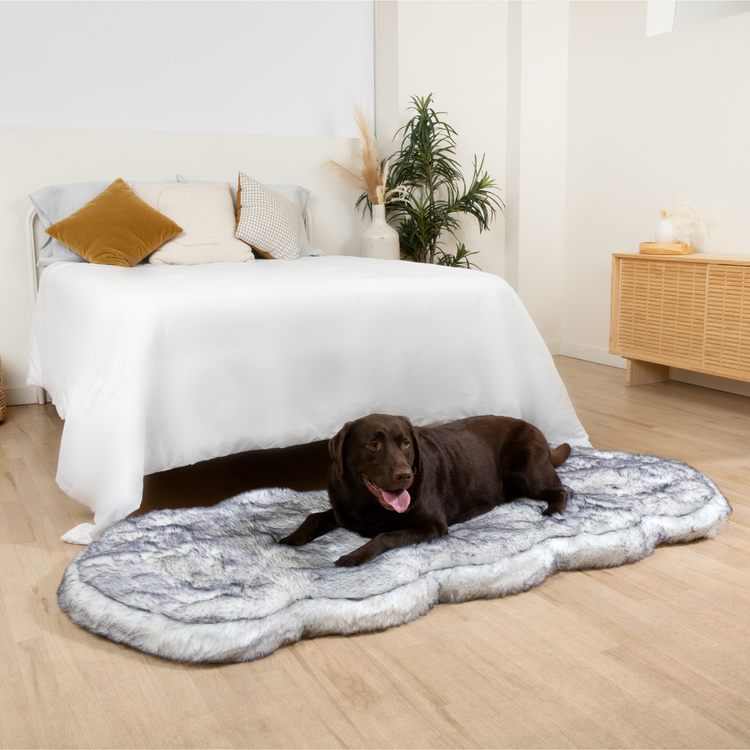 PupRug® Luxe Orthopedic Runner Bed + Matching Waterproof Blanket Bundle - Ultra Plush Arctic Fox