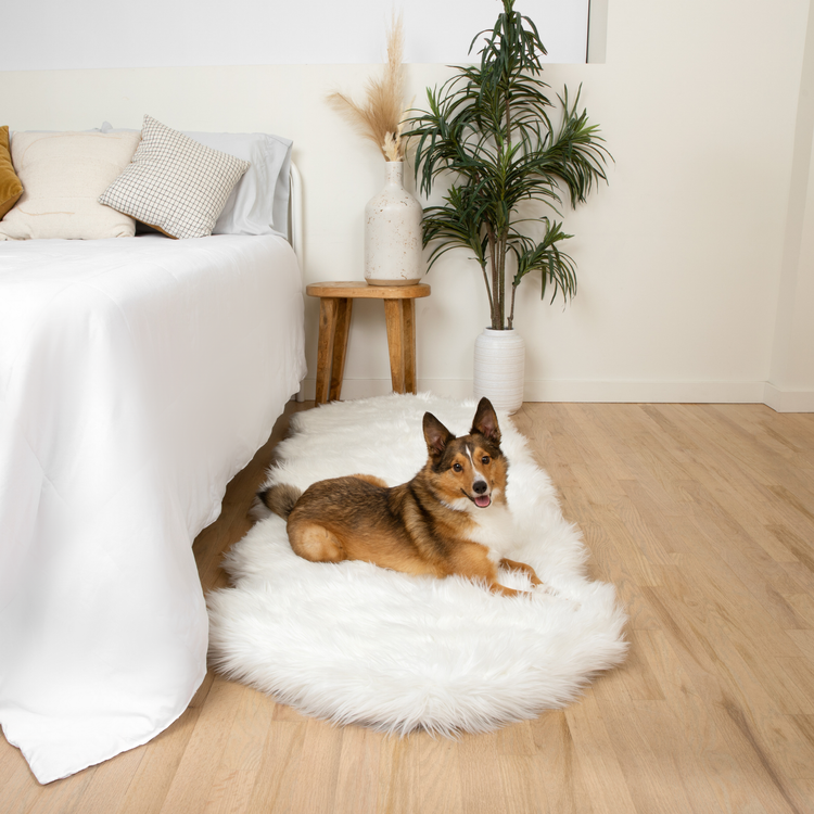PupRug® Runner Faux Fur Memory Foam Dog Bed - Curve Polar White