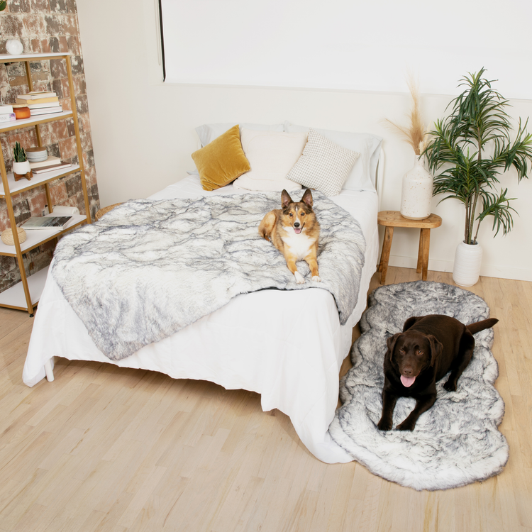 PupRug® Luxe Orthopedic Runner Bed + Matching Waterproof Blanket Bundle - Ultra Plush Arctic Fox