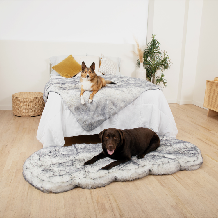 PupRug® Luxe Orthopedic Runner Bed + Matching Waterproof Blanket Bundle - Ultra Plush Arctic Fox