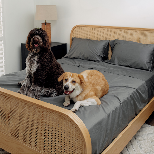 PupSheets™ Pet Hair Resistant Sheets