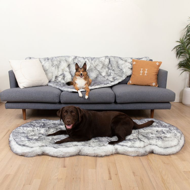 PupRug® Luxe Orthopedic Runner Bed + Matching Waterproof Blanket Bundle - Ultra Plush Arctic Fox