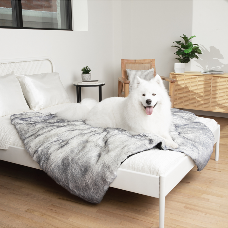PupRug® Luxe Orthopedic Runner Bed + Matching Waterproof Blanket Bundle - Ultra Plush Arctic Fox