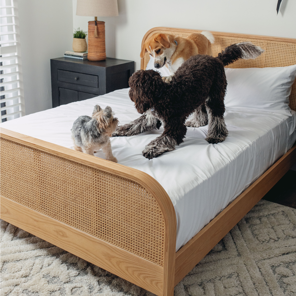 PupSheets™ Pet Hair Resistant Sheets