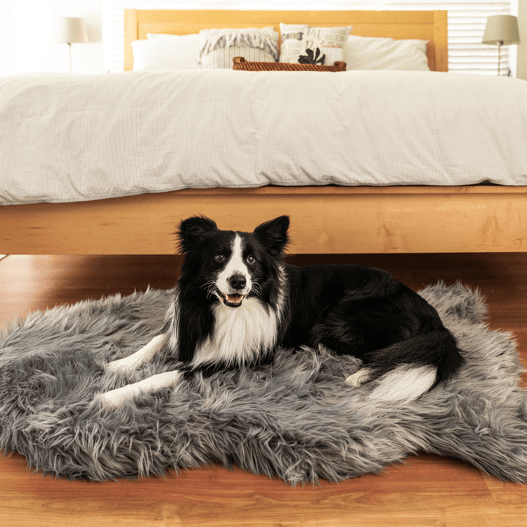 Paw.com x BarkBox PupRug® Faux Fur Orthopedic Dog Bed - Charcoal Grey