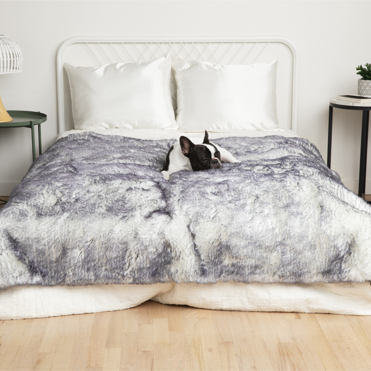 PupRug® Luxe Orthopedic Runner Bed + Matching Waterproof Blanket Bundle - Ultra Plush Arctic Fox