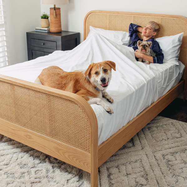 PupSheets™ Pet Hair Resistant Sheets