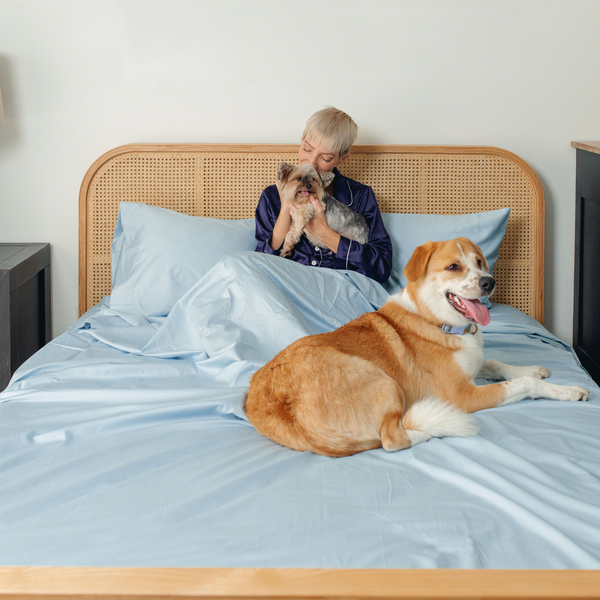PupSheets™ Pet Hair Resistant Sheets
