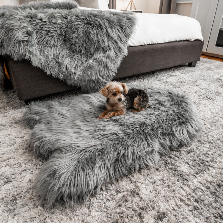 Paw.com x BarkBox PupRug® Faux Fur Orthopedic Dog Bed - Charcoal Grey