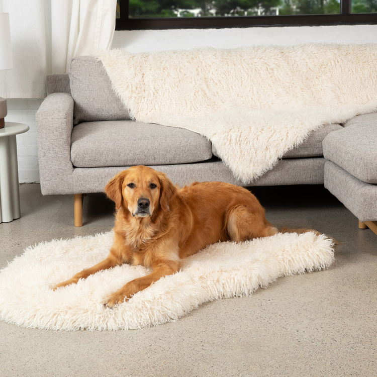 PupRug® Luxe Orthopedic Bed + Matching Waterproof Blanket Bundle - Plush Sheep Ivory