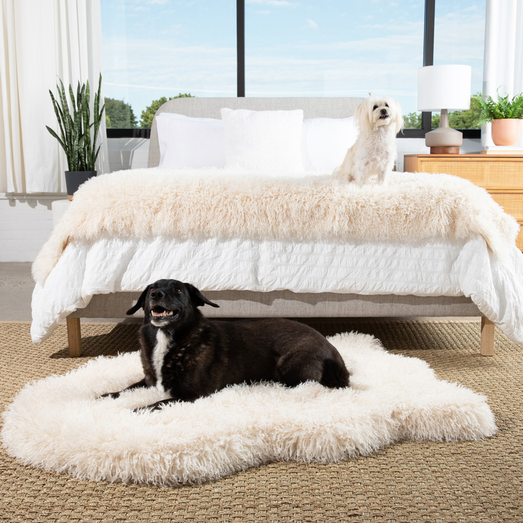 PupRug® Luxe Orthopedic Bed + Matching Waterproof Blanket Bundle - Plush Sheep Ivory