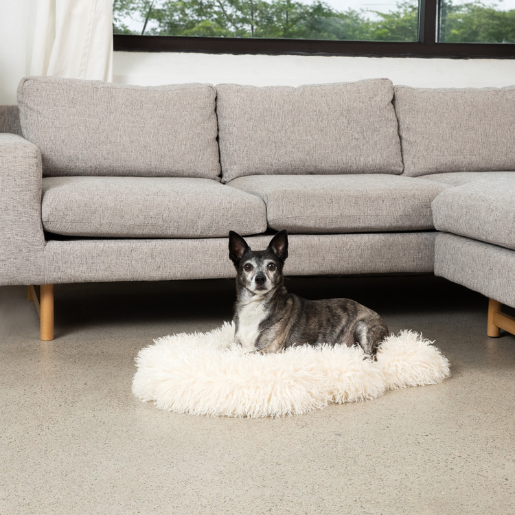 PupRug® Luxe Faux Fur Orthopedic Dog Bed - Plush Sheep Ivory