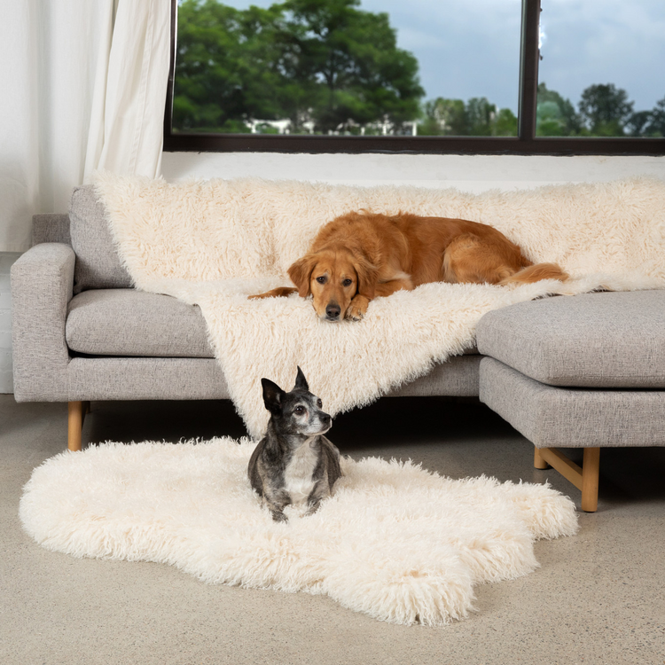 PupRug® Luxe Faux Fur Orthopedic Dog Bed - Plush Sheep Ivory