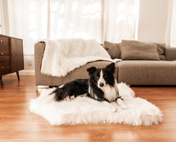 PupRug® Junior Memory Foam Bed + Matching Waterproof Blanket Bundle - Polar Bear Faux Hide