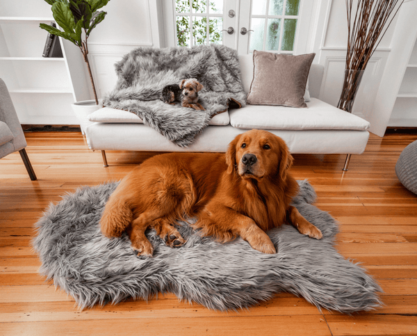 PupRug™ Bundle: Curve Runner Rug u0026 Waterproof Blanket, Grey – Paw.com