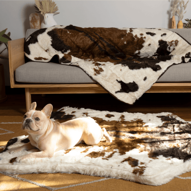 PupRug® Memory Foam Bed + Matching Waterproof Blanket Bundle - Brown Faux Cowhide