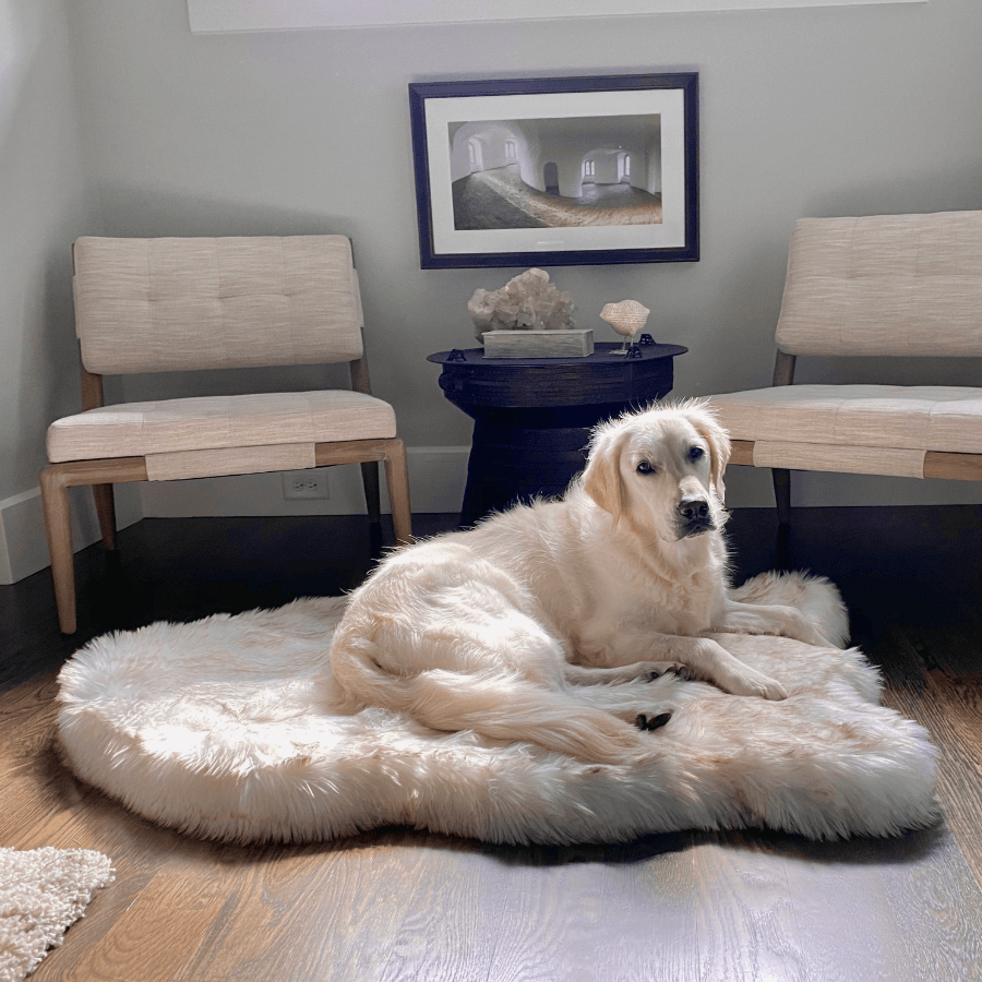 PupRug by Paw Faux Fur Orthopedic Dog Bed Curve White with Brown Accents