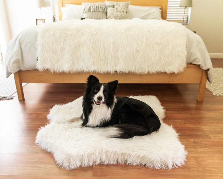 PupRug® Junior Memory Foam Bed + Matching Waterproof Blanket Bundle - Polar Bear Faux Hide