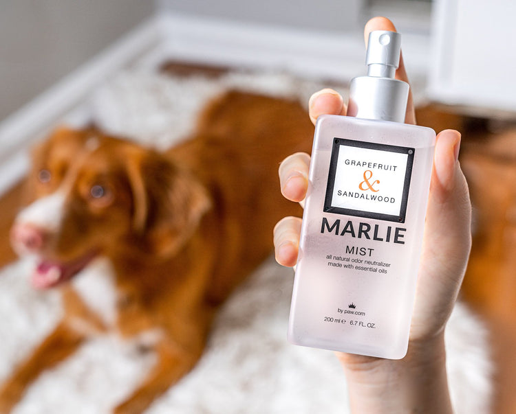 Marlie Mist grapefruit and sandalwood pet odor eliminator all natural bottle
