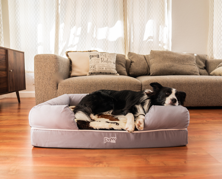 bolster bed with brown cowhide topper in front of couch