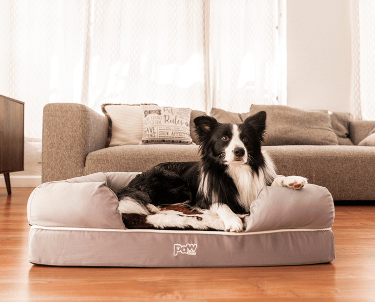 bolster bed with brown cowhide topper in front of couch