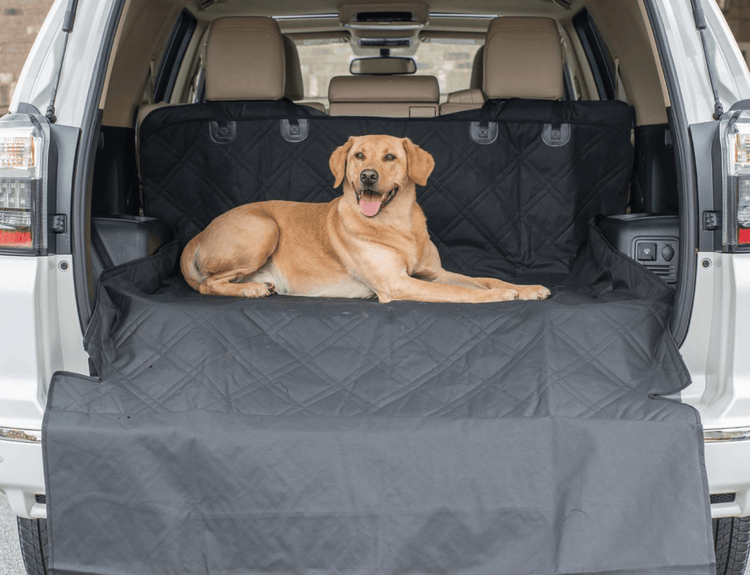 dog laying on truck protected by the cargo liner from Treat A Dog