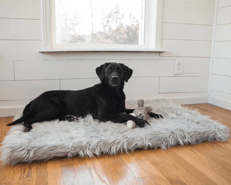 PupRug® Bundle - Orthopedic Bed Rectangle, Grey + Matching Waterproof Blanket - Giant