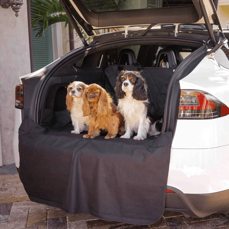 three dogs in the back of a Tesla trunk protected by cargo liner