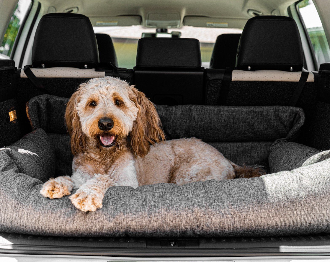 10 Reasons Your Dog Needs a Car Bed for Safer, More Comfortable Travel