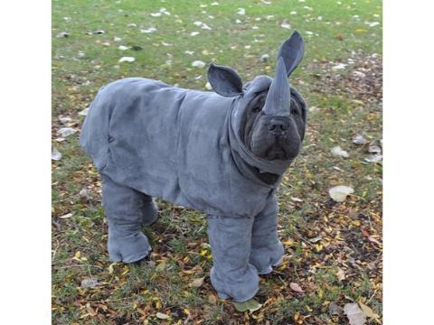21 Amazingly Unique Dog Costumes For Halloween Paw 21-amazingly-unique-dog-costumes-for-halloween-paw