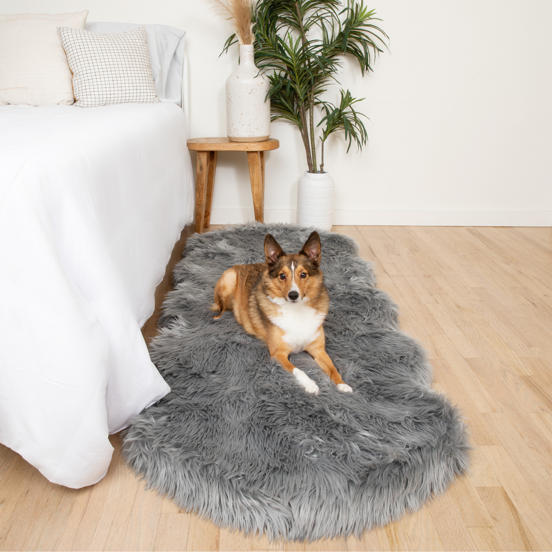 PupRug® Faux Fur Memory Foam Dog Bed, Charcoal Grey – Paw.com