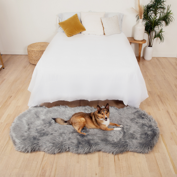 PupRug by Memory Foam Dog Bed Runner