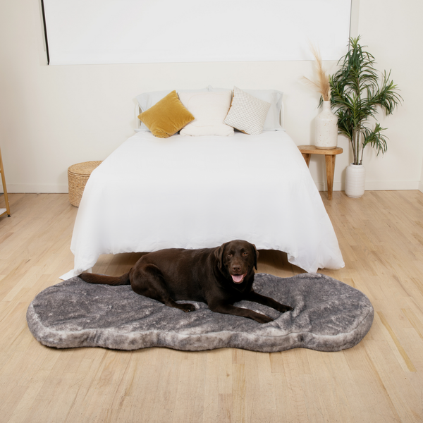 PupRug by Paw.com™ Memory Foam Dog Bed Runner