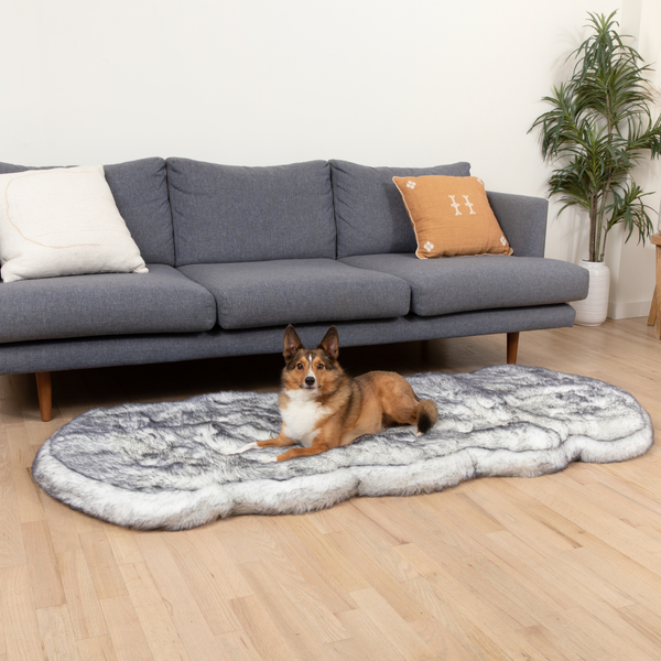 PupRug by Memory Foam Dog Bed Runner