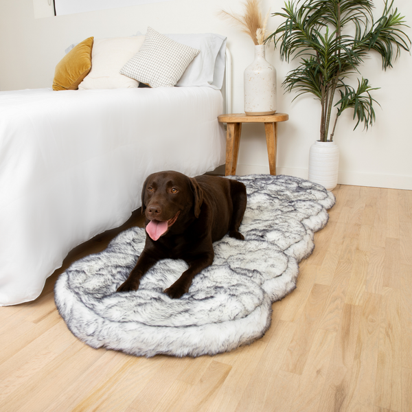 PupRug by Paw.com™ Memory Foam Dog Bed Runner