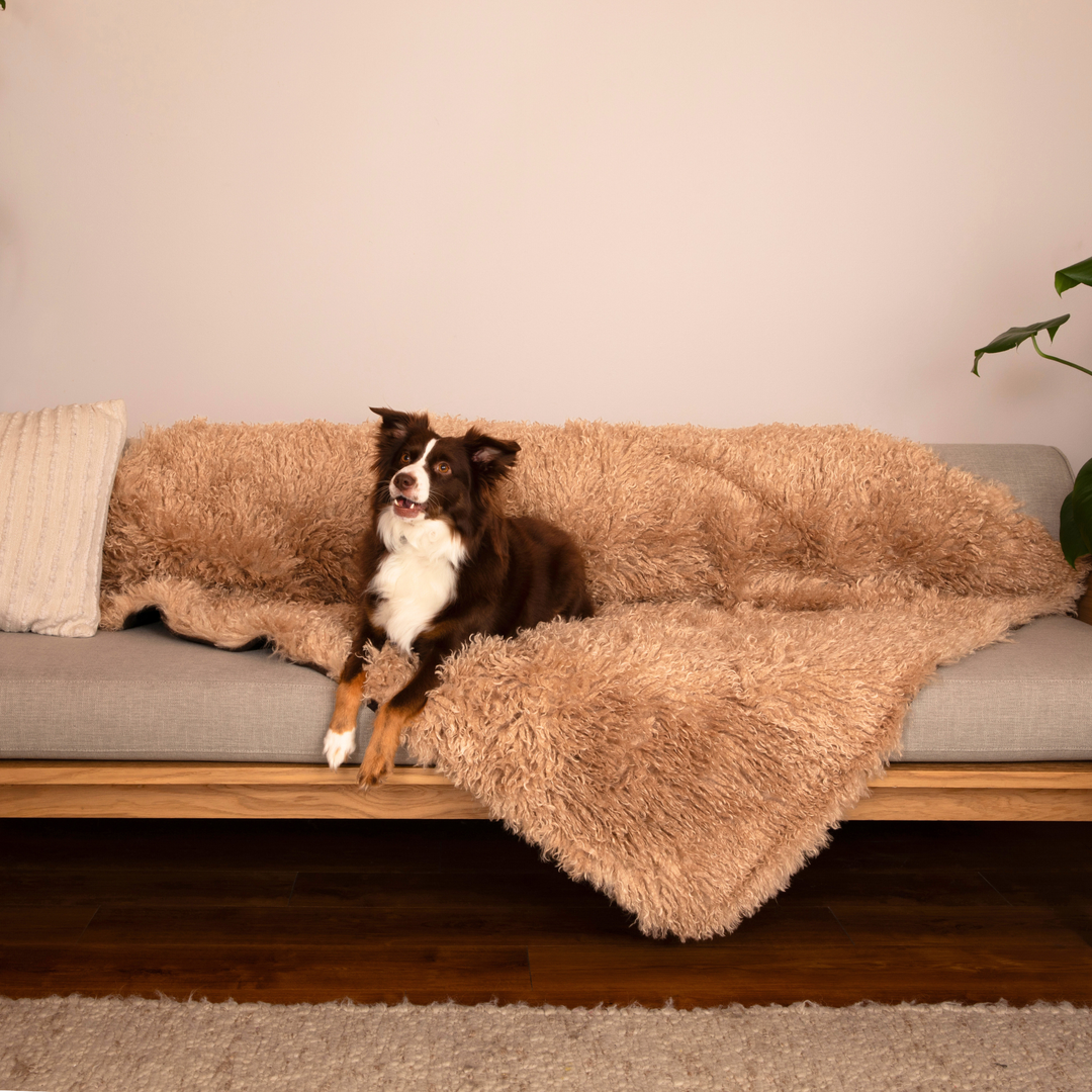 PupProtector™ Luxe Faux Sheep Dog Blanket – Paw.com