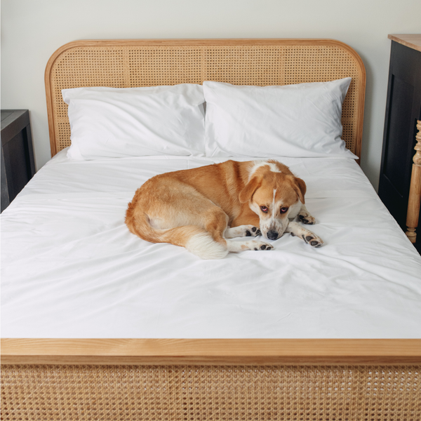 PupSheets™ Pet Hair Resistant Sheets