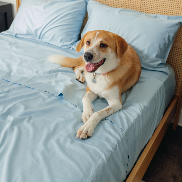 PupSheets™ Pet Hair Resistant Sheets