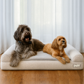 PupLuxe™ 3-Bolster Dog Bed - Grey Bouclé