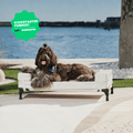 AirX Foam™ Outdoor Dog Bed - Waterproof & Cooling