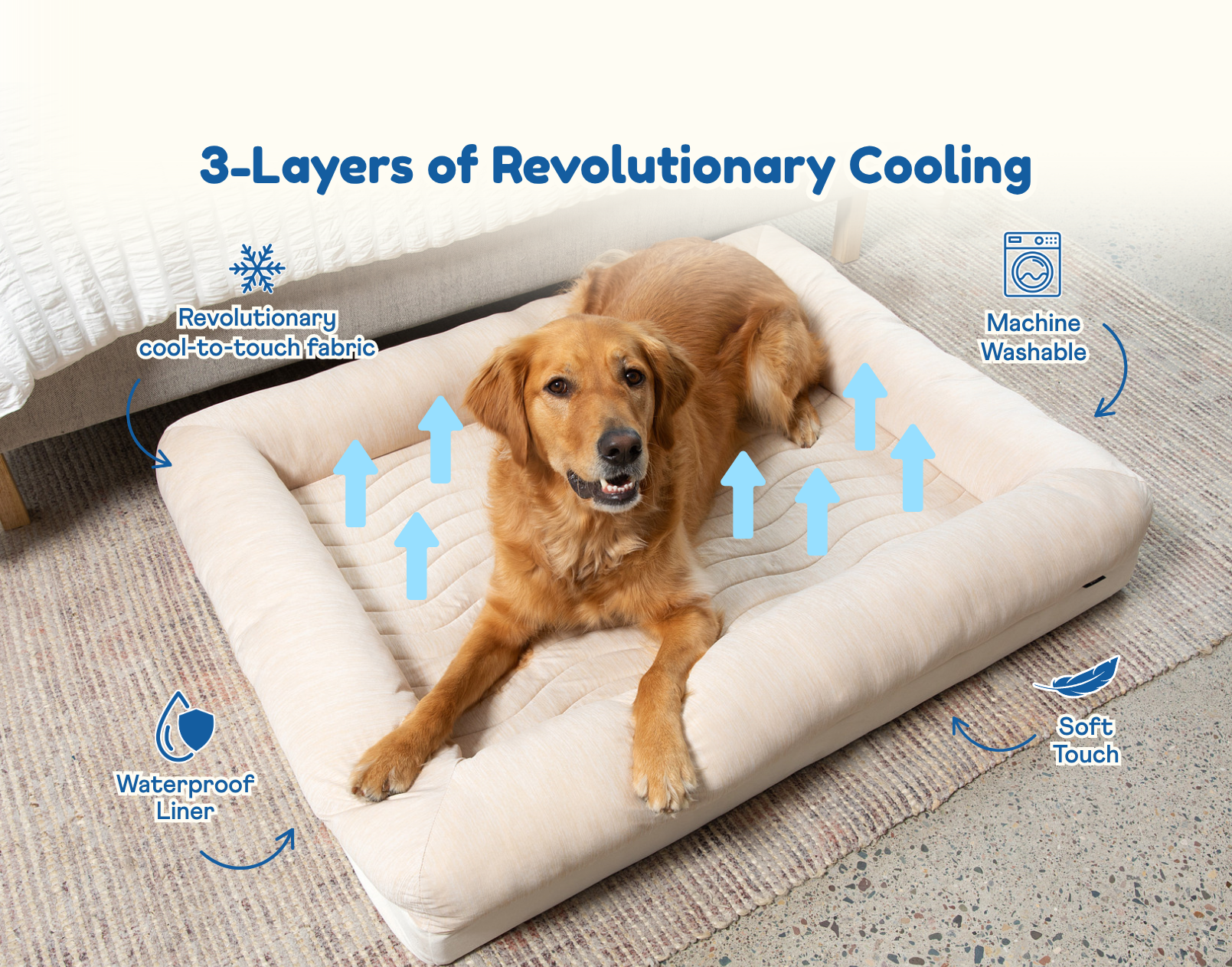 Cooling Dog Beds – Paw.com