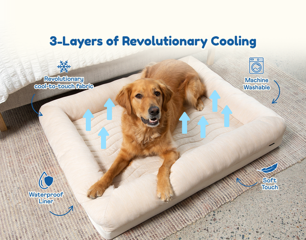 dog cooling beds & blankets