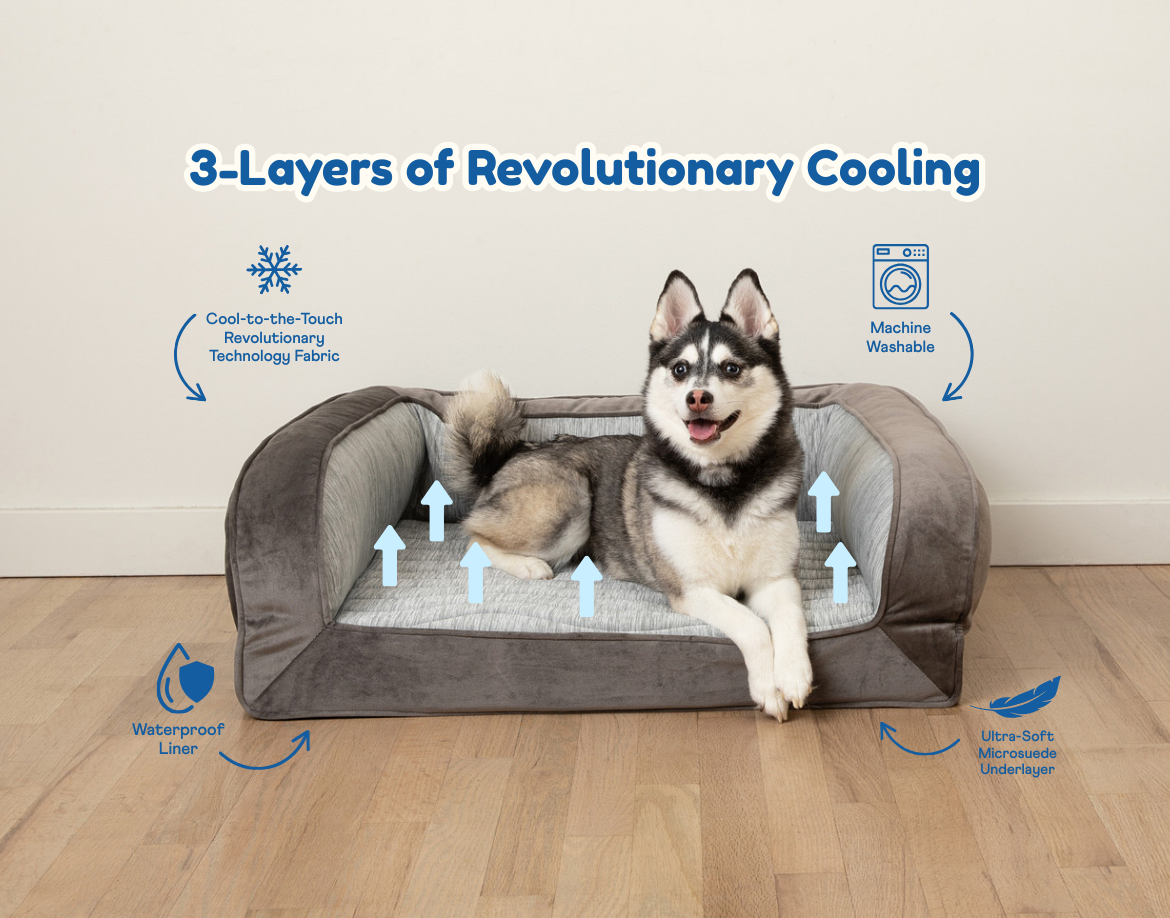 Orthopedic Dog Beds – Paw.com