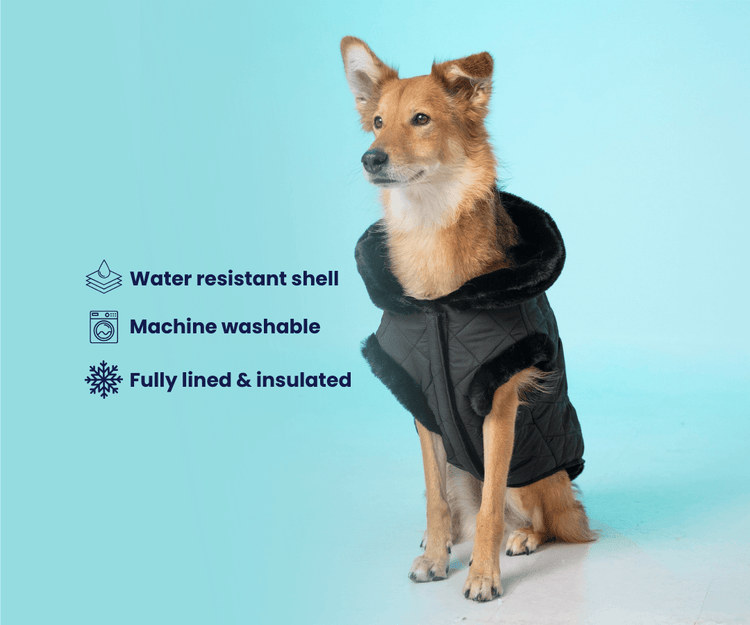 PolarPup™ Parka Dog Coat - Midnight Black