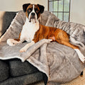 PupProtector™ Luxe Waterproof Faux Fur Blanket - Ultra Soft Chinchilla